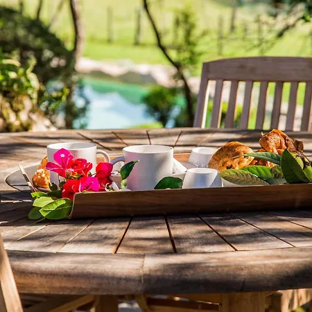 Domaine Pardini Дом отдыха