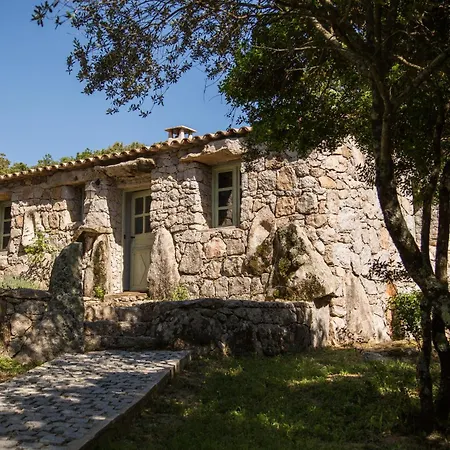 Domaine Pardini *