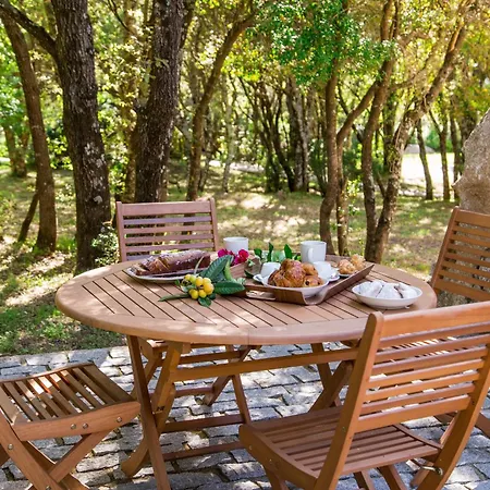 Domaine Pardini Porto Vecchio