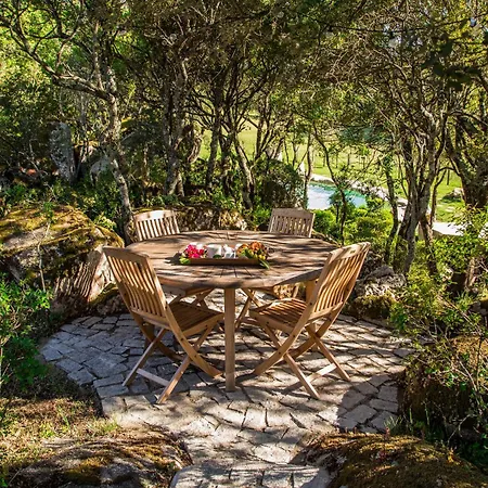Domaine Pardini *