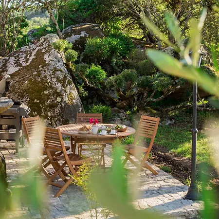 Domaine Pardini Porto Vecchio