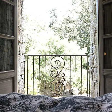 Domaine Pardini Casa vacanze *