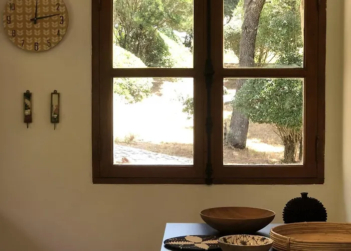 Domaine Pardini Holiday home *