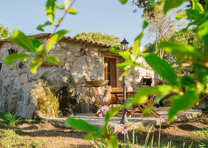 Domaine Pardini Holiday home *